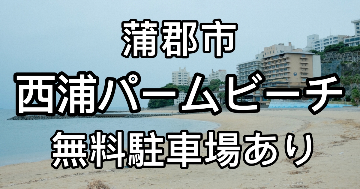 西浦パームビーチの釣り場・ポイント解説