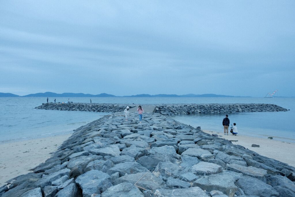 西浦パームビーチ中央堤防