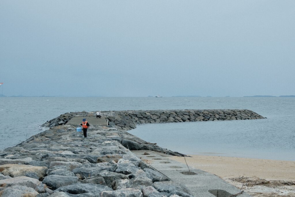 西浦パームビーチ東側堤防